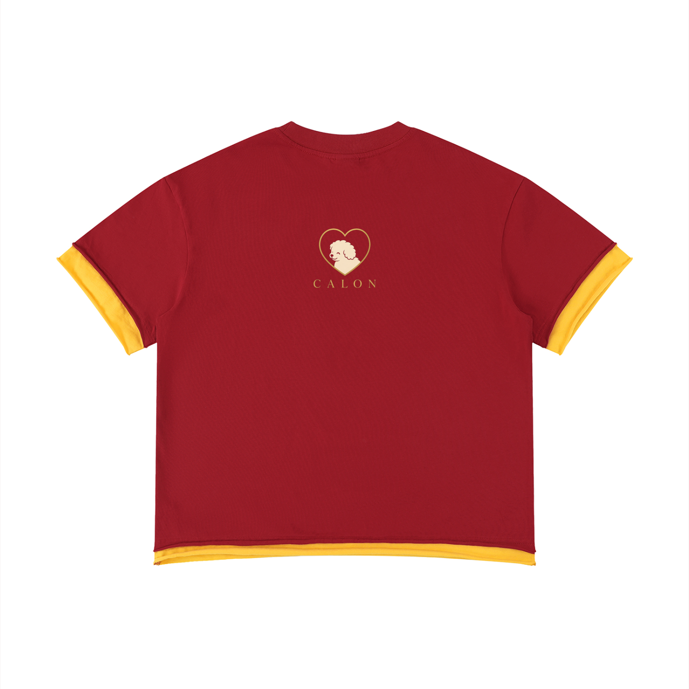 Unisex Boxy Color Block T-Shirt