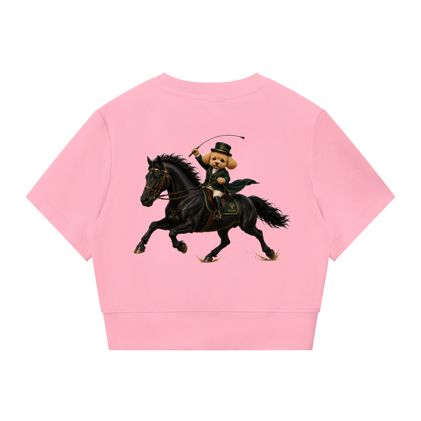 ウィメンズ パネリング フルジップ クロップT — Women's Paneling Full-Zip Crop T-Shirt