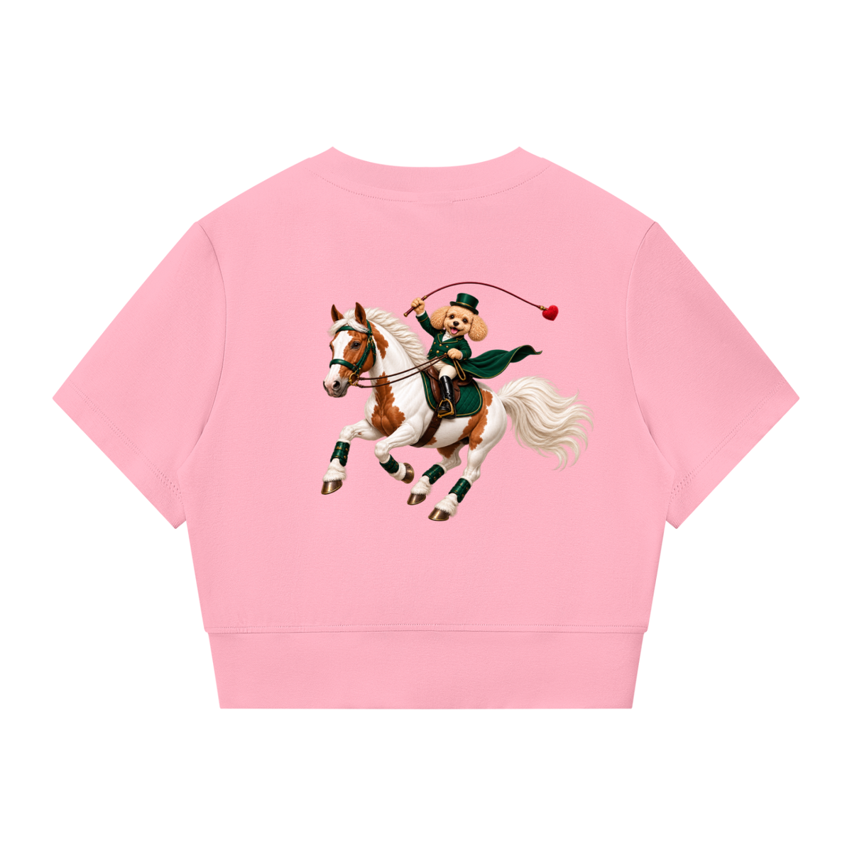 EQUESTRIAN CALON | ウィメンズ パネリング フルジップ クロップT — Women's Paneling Full-Zip Crop T-Shirt
