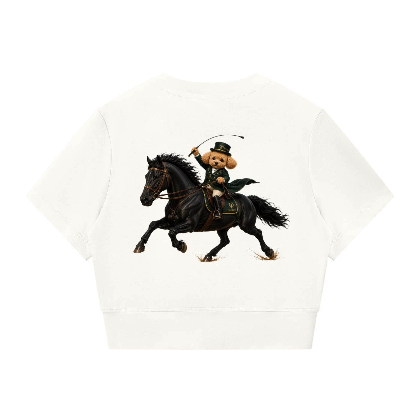 ウィメンズ パネリング フルジップ クロップT — Women's Paneling Full-Zip Crop T-Shirt