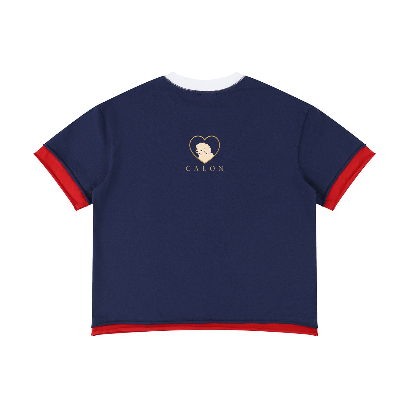 Unisex Boxy Color Block T-Shirt